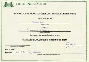 kennel club good citizens award